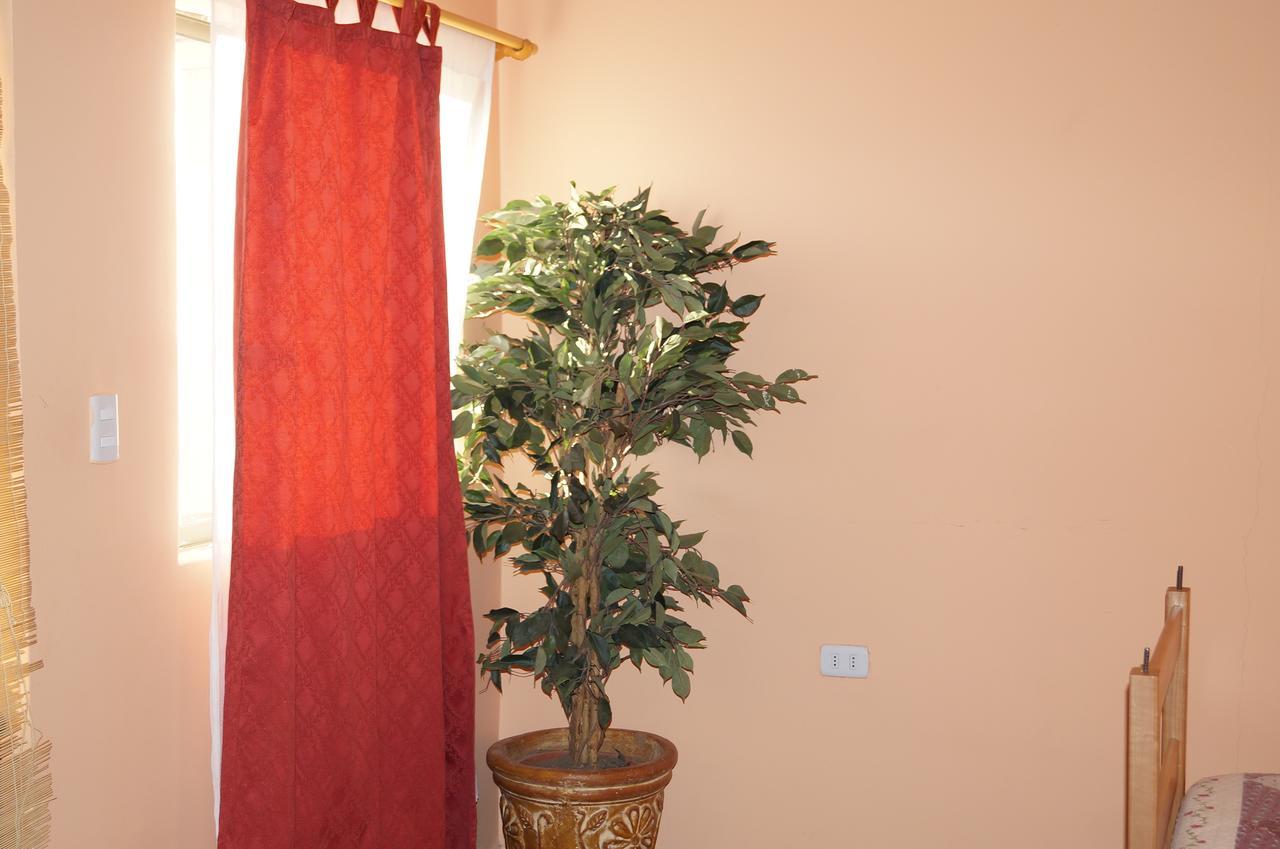 Hostal Intipara San Pedro de Atacama Ngoại thất bức ảnh